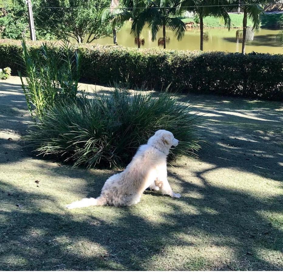 Casa Na Serra Villa Teresópolis Eksteriør billede