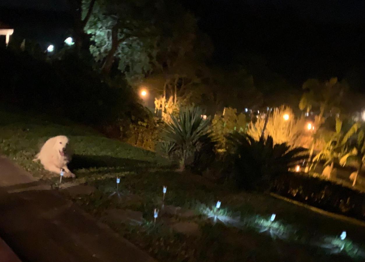 Casa Na Serra Villa Teresópolis Eksteriør billede