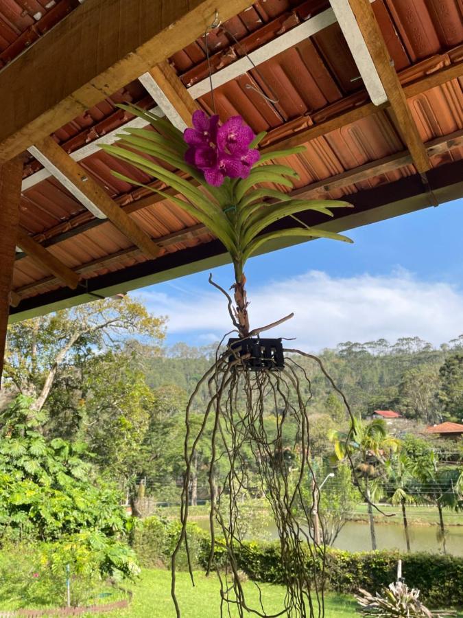 Casa Na Serra Villa Teresópolis Eksteriør billede